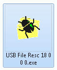 USB File Resc Ícono Windows